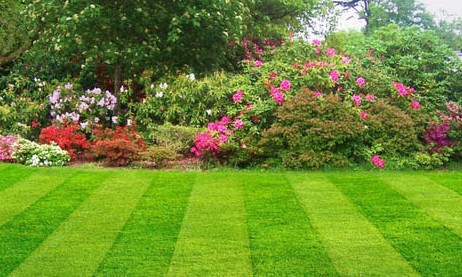 Lawn and garden