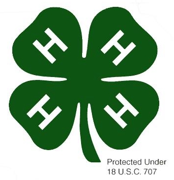 4-H Clover